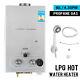 8/10/12/16/18l Instant Gas Hot Water Heater Tankless Gas Boiler Lpg Propane