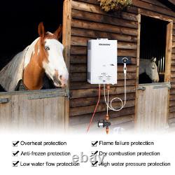 Chauffe-eau instantané au propane de 10L 20kw pour douche de lavage de chevaux en extérieur